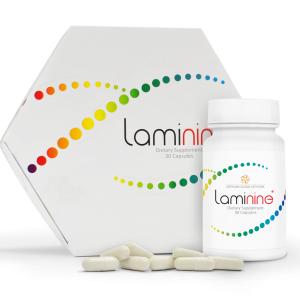 Laminin