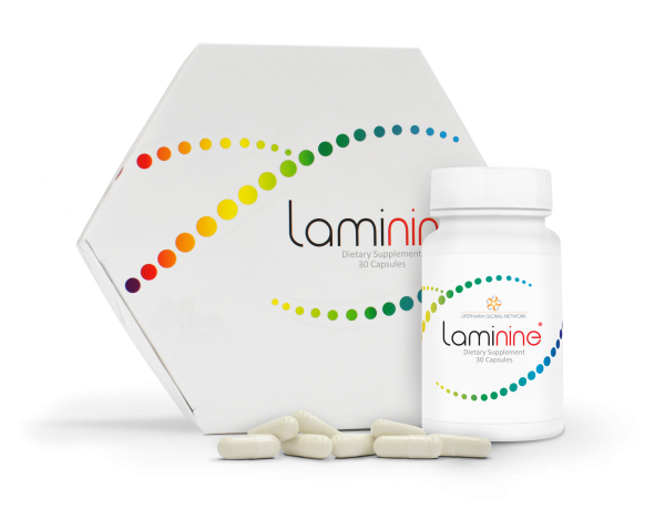 Laminin
