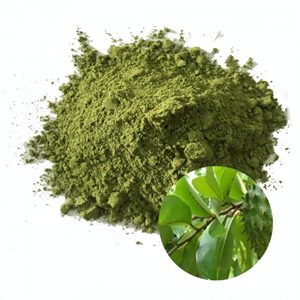 Graviola 200g